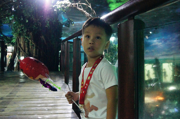 DSC02520.jpg