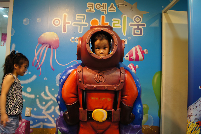 DSC02544.jpg