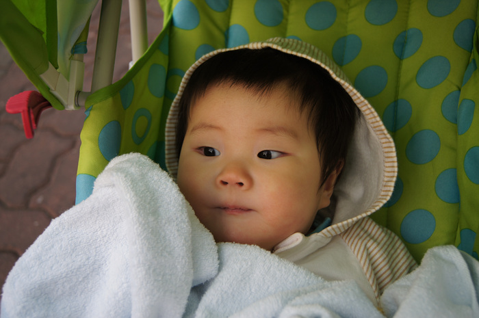 DSC00761.jpg