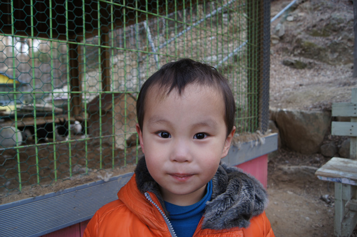 DSC00883.jpg