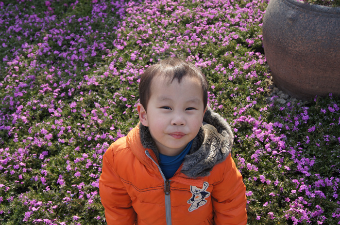 DSC00873.jpg