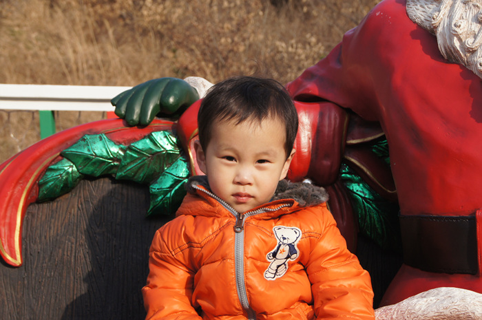 DSC00908.jpg