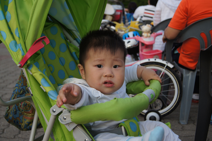 DSC01273.jpg