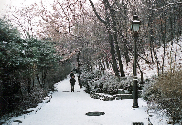 image0009.jpg