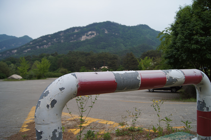 DSC01318.jpg