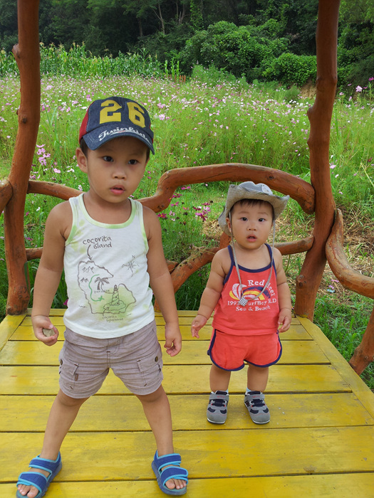 20120811_121028.jpg