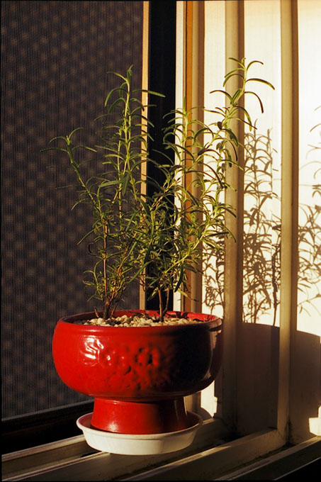 image0012_2.jpg