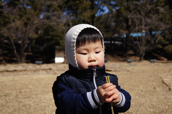 DSC02031.jpg