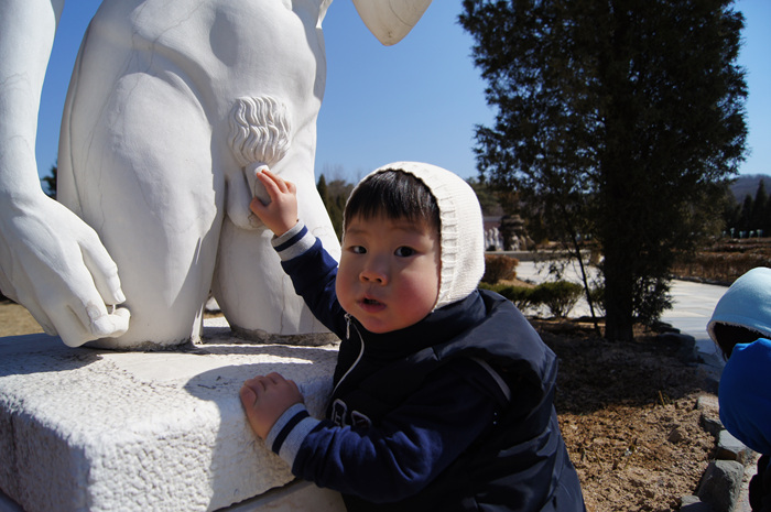 DSC02162.jpg