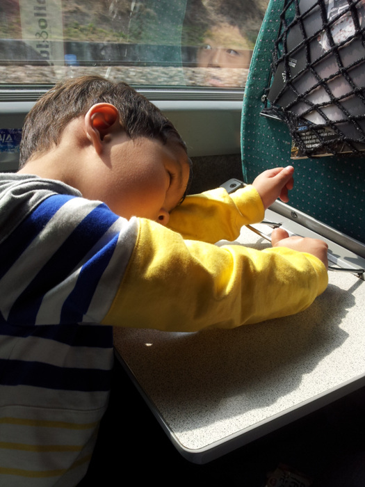 20130330_100609.jpg