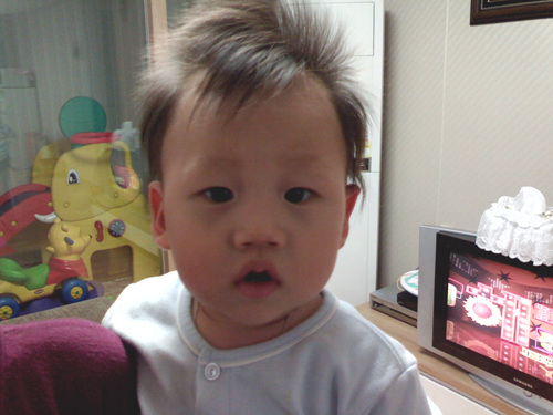 P071118001.jpg